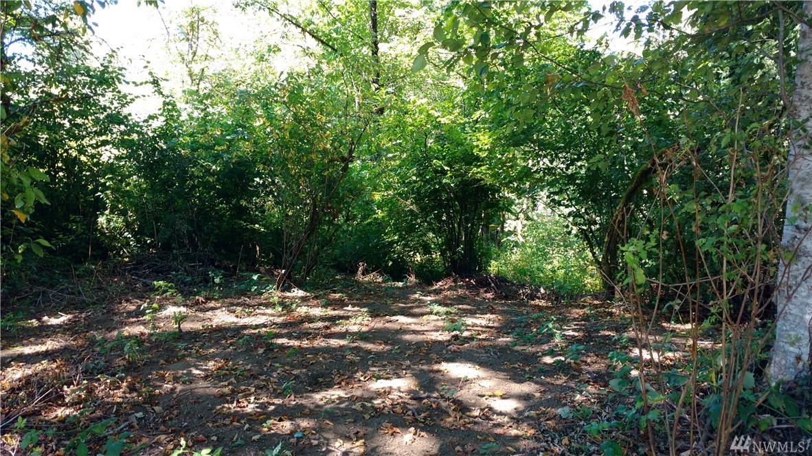 213 Old Belfair Hwy - Photo 1