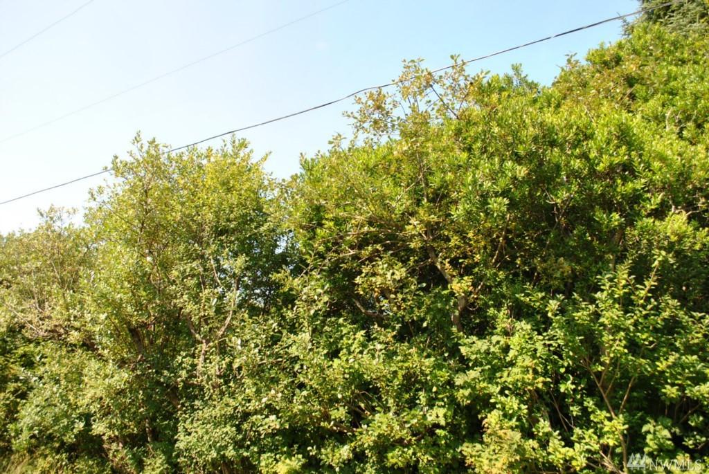 146 Port Lp - Photo 1
