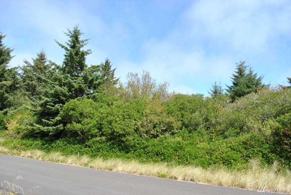 132 Razor Clam Dr - Photo 1
