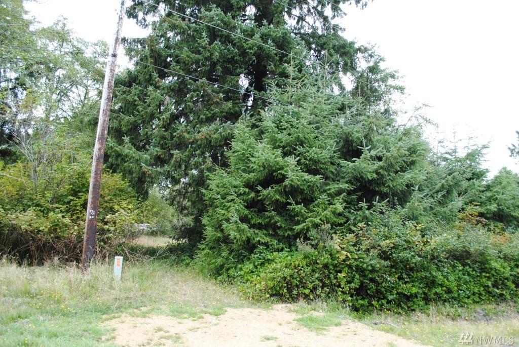 853 Mt Olympus Ave - Photo 1