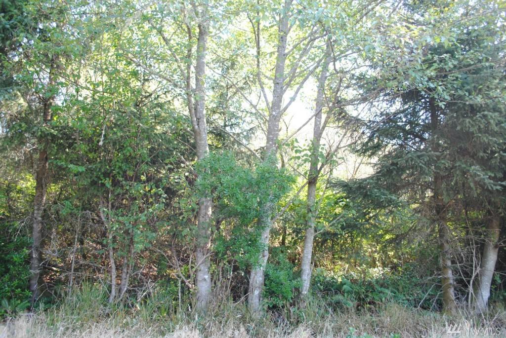 141 Spruce Lp - Photo 1