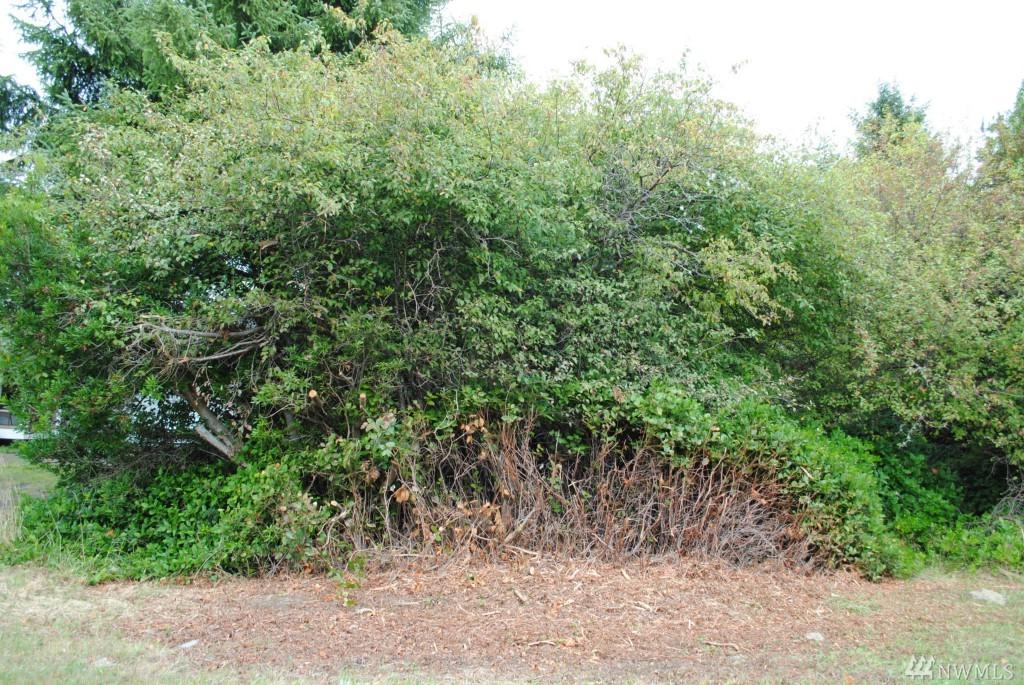 790 Wawona Ave - Photo 1