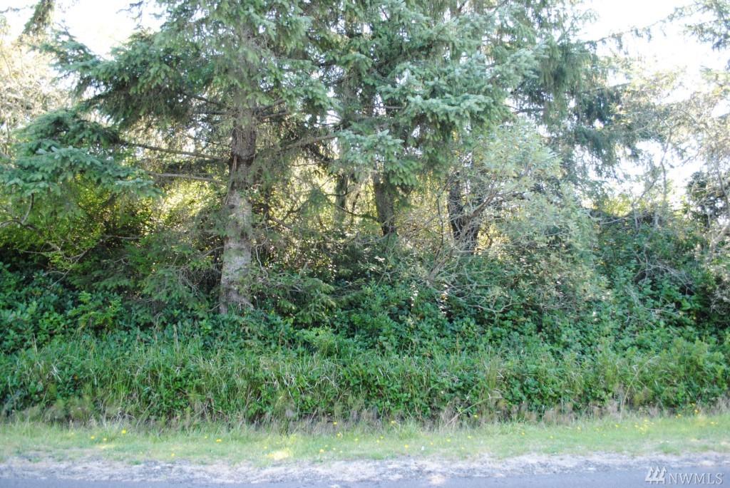 909 Beachcomber Ct - Photo 1