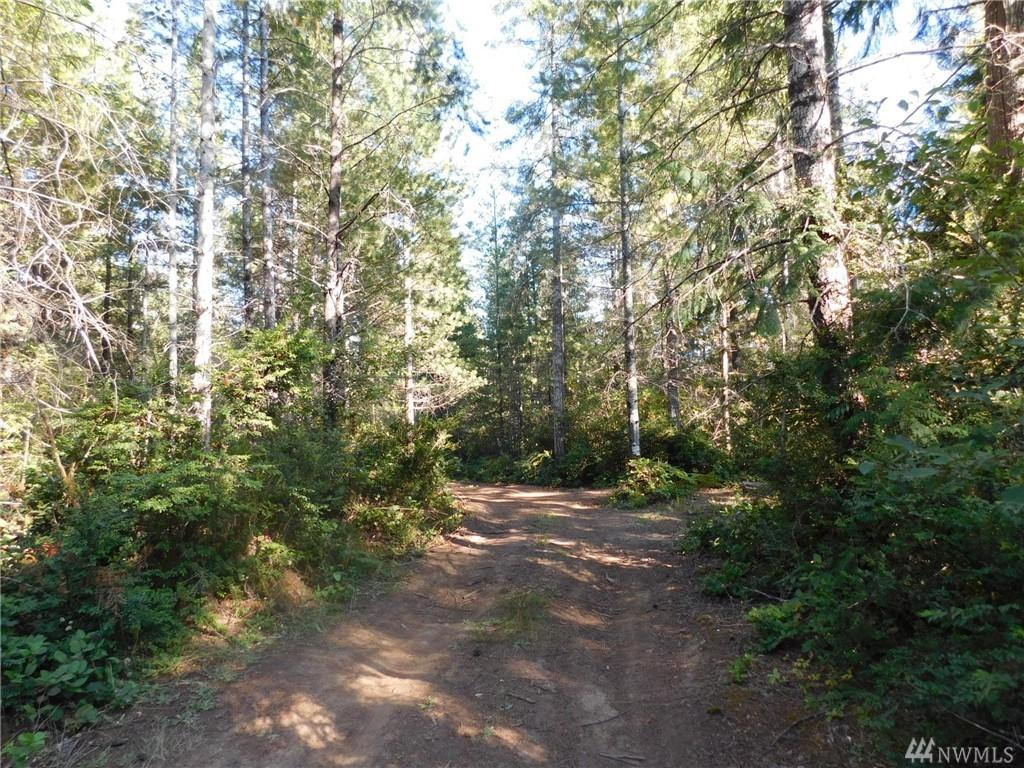 0 Trudeau Mountain Rd - Photo 1