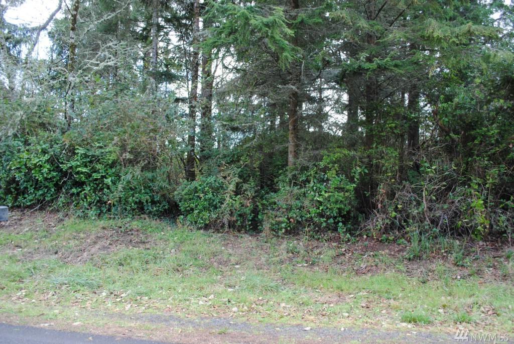 597 Duck Lake Dr - Photo 1