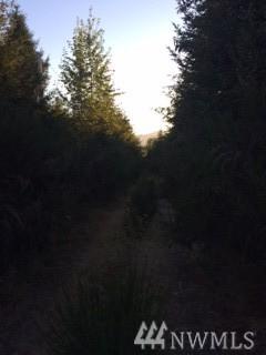 0 Dewatto Rd - Photo 1
