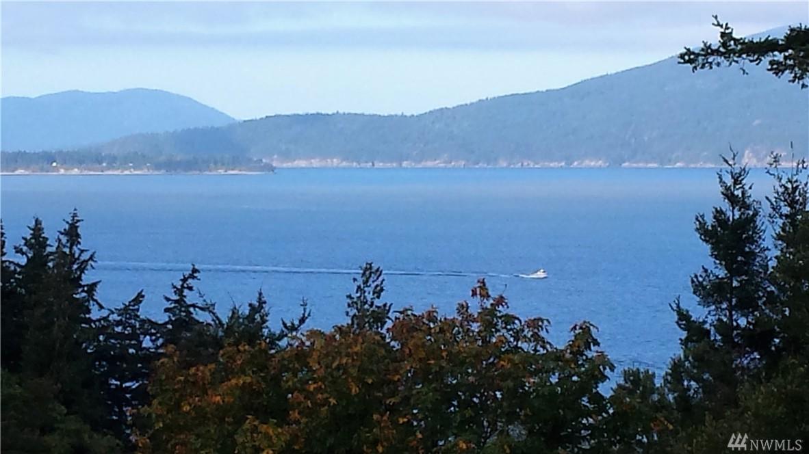 409 Arbutus Place - Photo 1