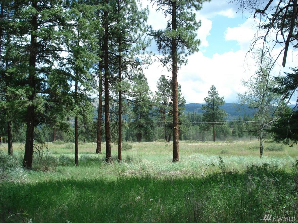 0-LotA&B Curlew Lake Rd - Photo 1