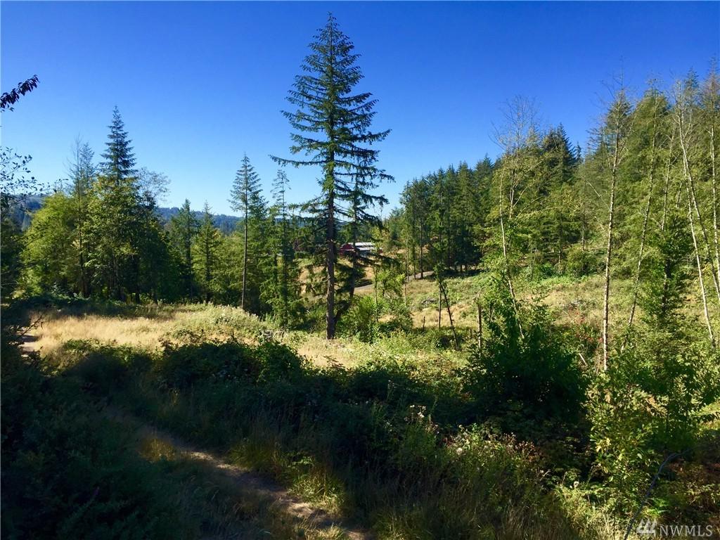 150 Autumn Hills Rd - Photo 1