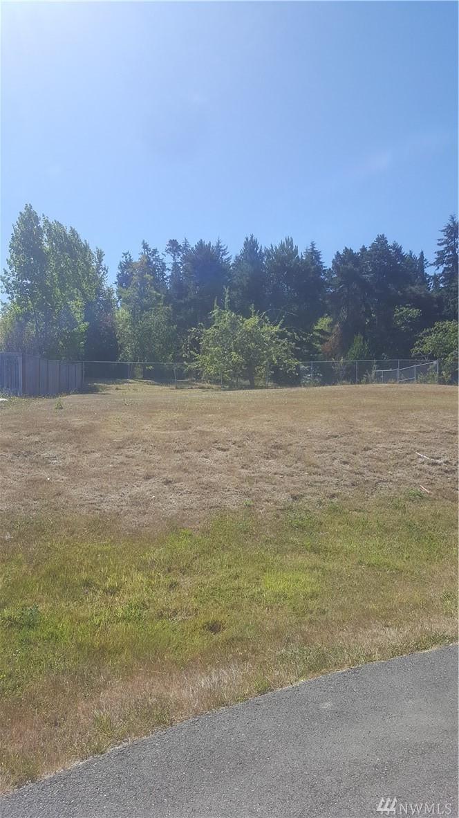 9999 Lot 29 Opal Lane - Photo 1