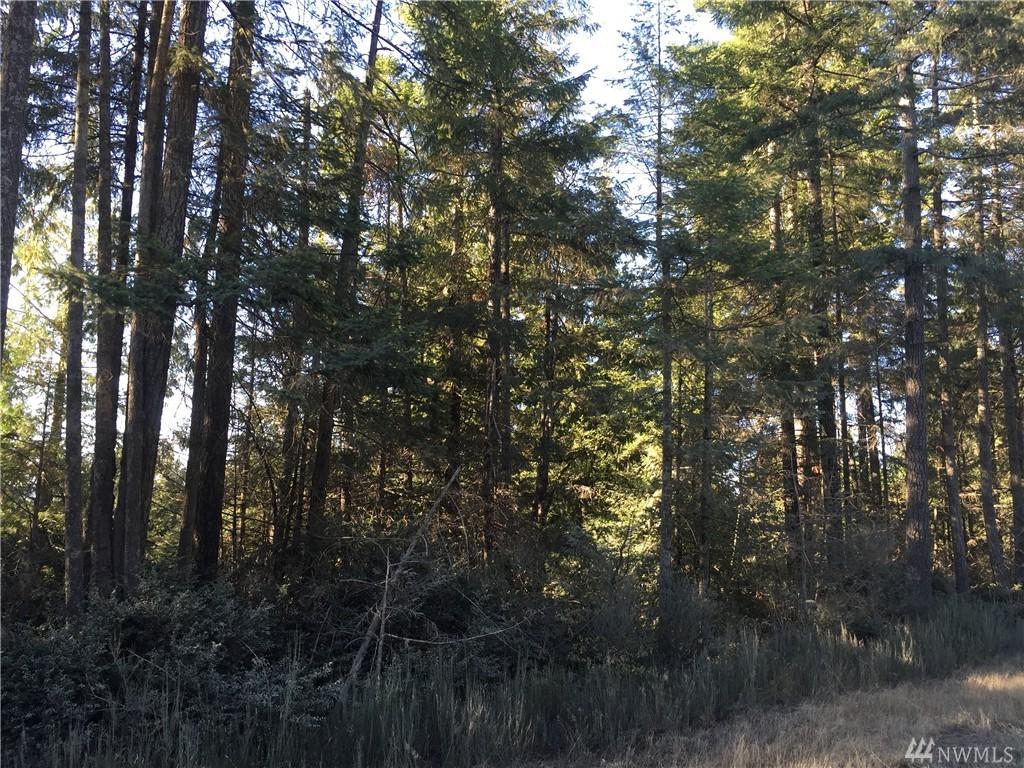 0 Eagle Pt Drive - Photo 1