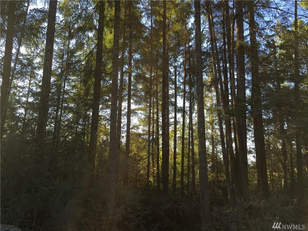 0 Eagle Point Dr - Photo 1