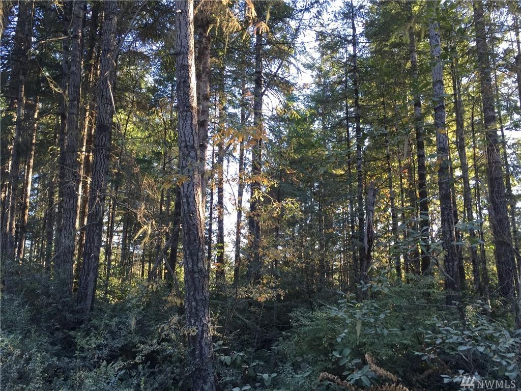 1 Eagle Pt Drive - Photo 1