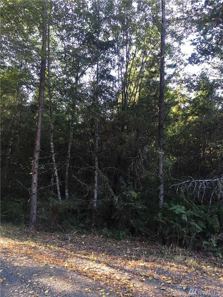 0 Moore View Lane - Photo 1