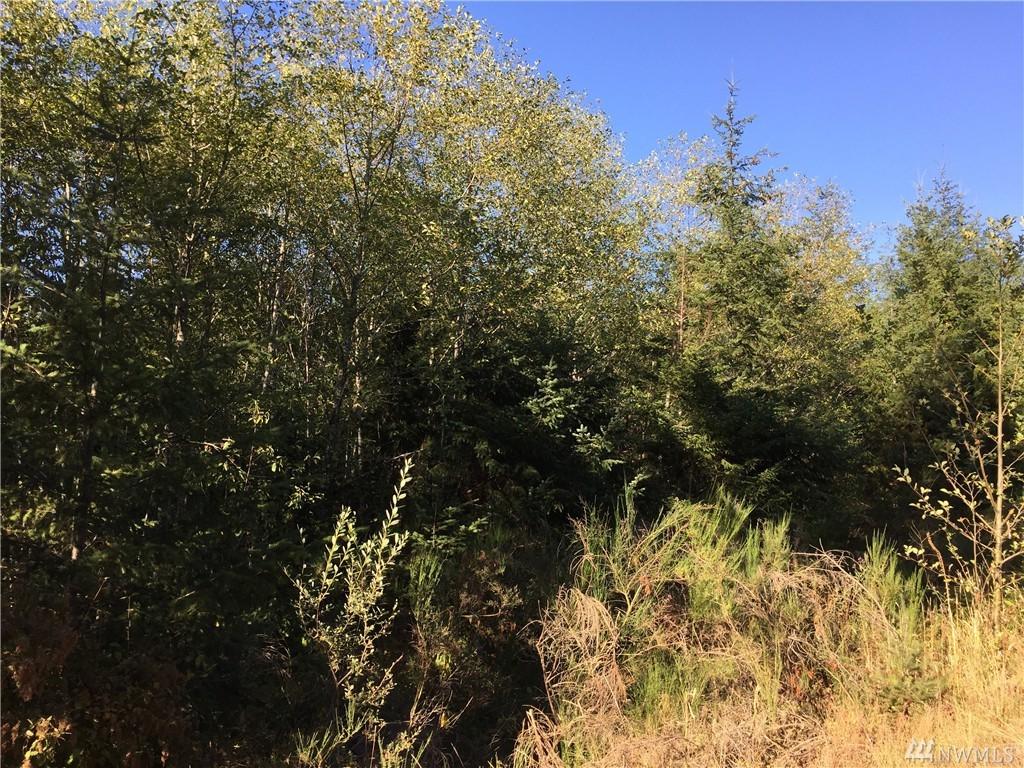 0 Mooreview Ln - Photo 1