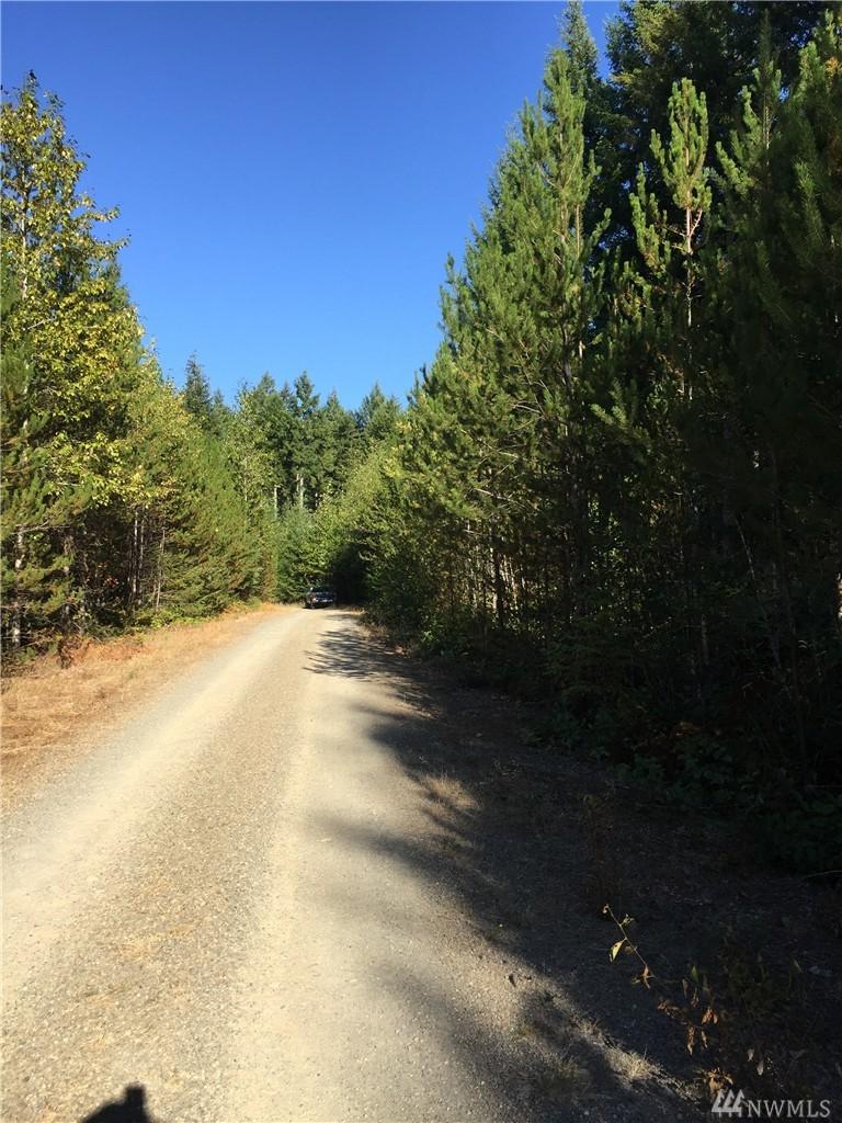 42 Jennifer Ln - Photo 1