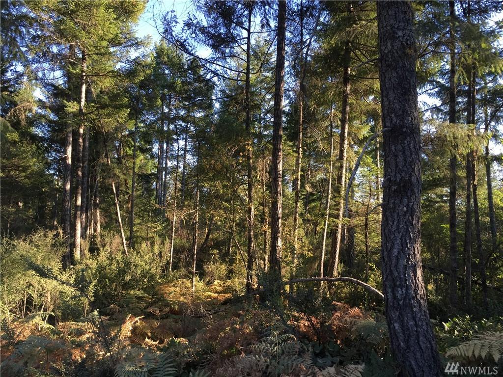 0 E Eagle Pt Drive - Photo 1