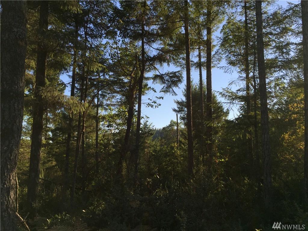 0 E Eagle Point Drive - Photo 1