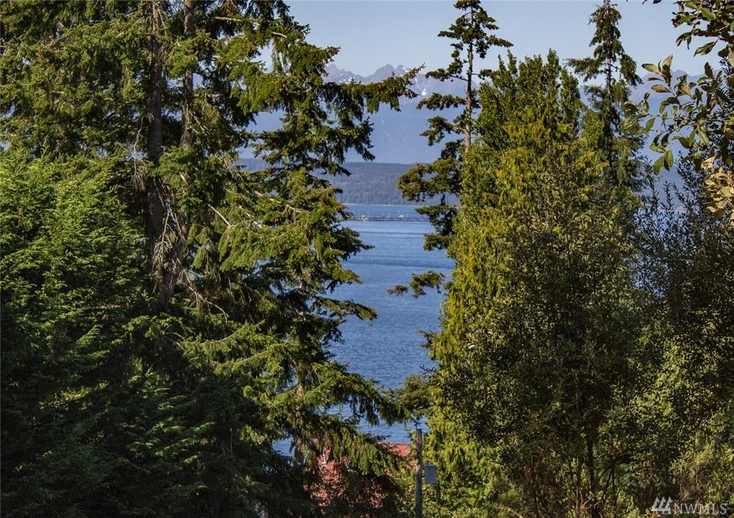 0 Hood Canal Dr - Photo 1