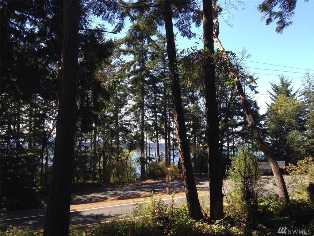 3333 Cape George Rd - Photo 1