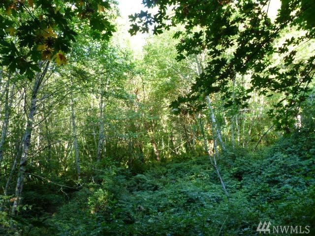 1588 King Rd - Photo 1