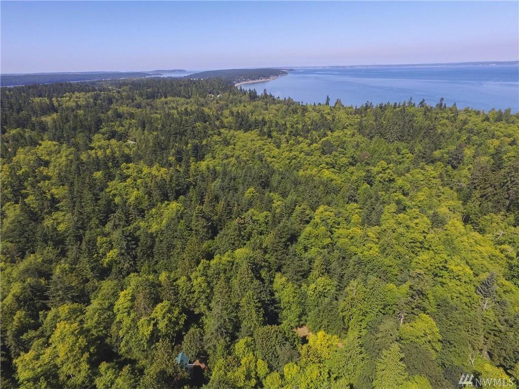 271 Reinier Rd - Photo 1