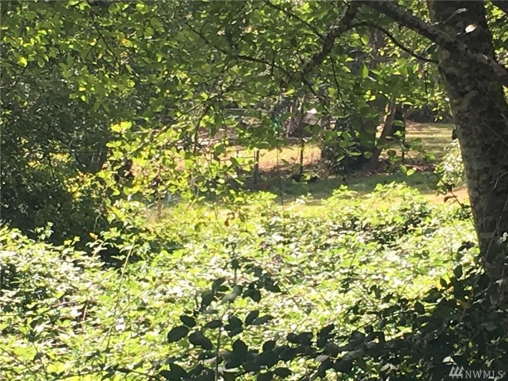 0 Olalla Valley Rd - Photo 1