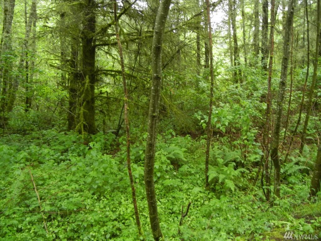 18 Tara Lane - Photo 1