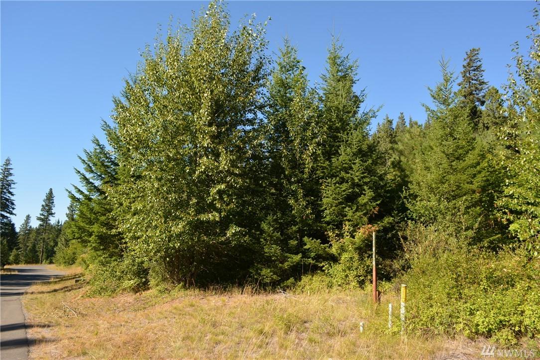 140 Big Rock Lane - Photo 1