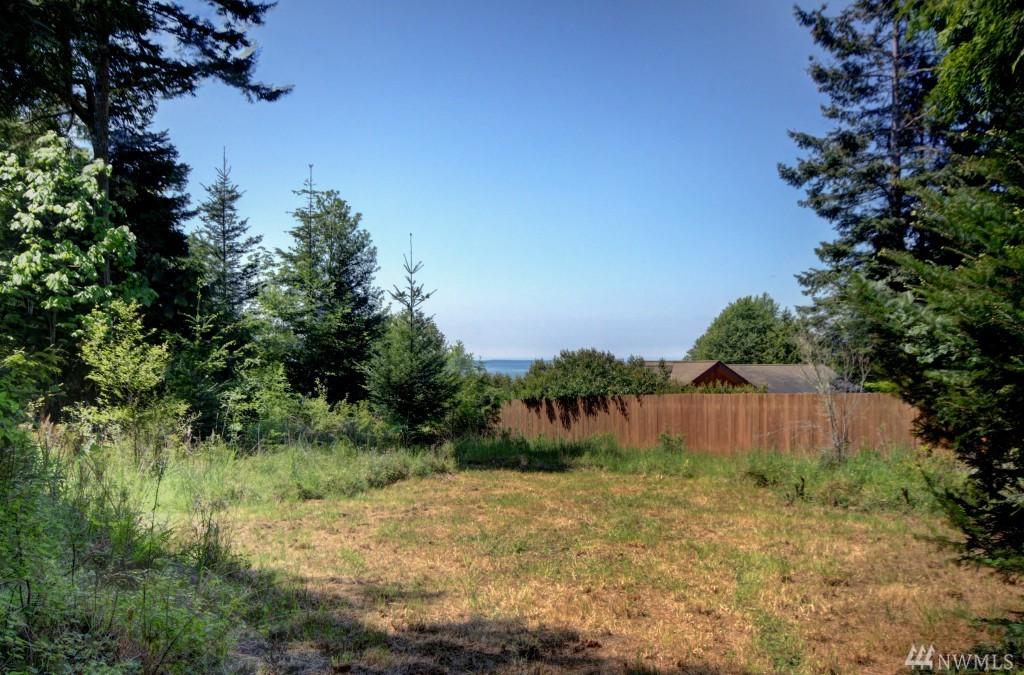 3272 Cape George Rd - Photo 1