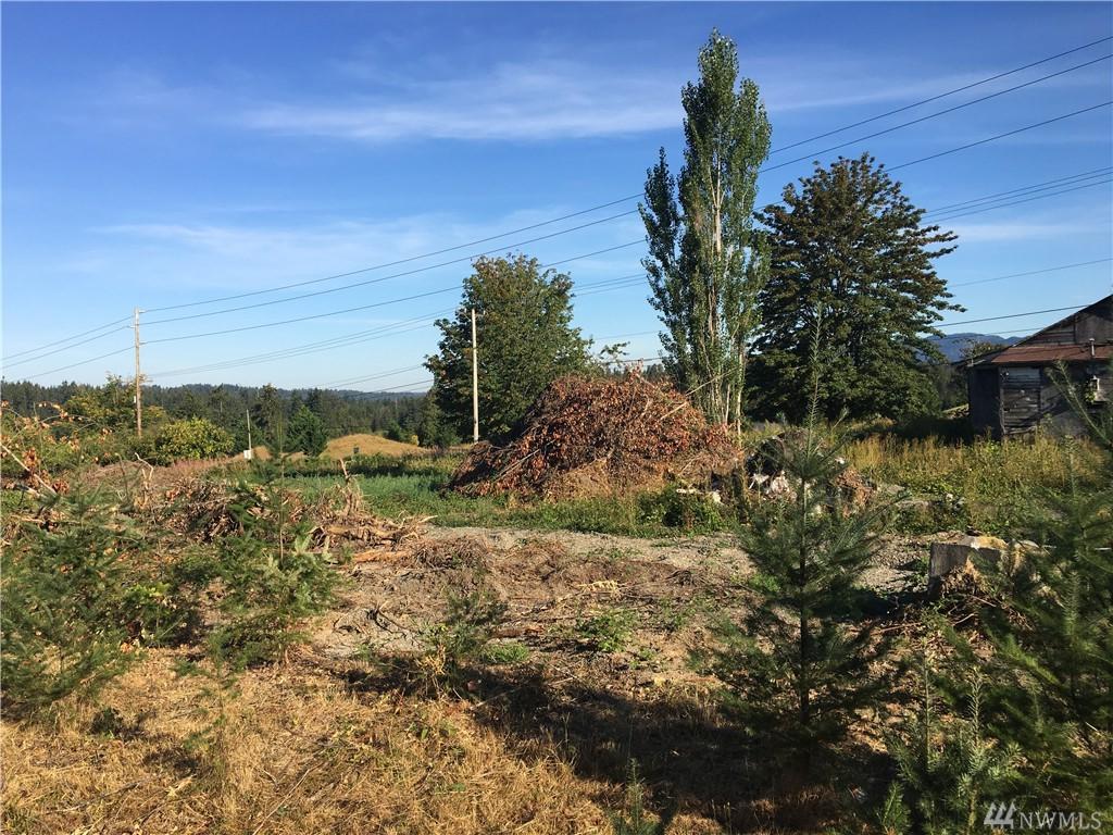 21611 244th Ave - Photo 1