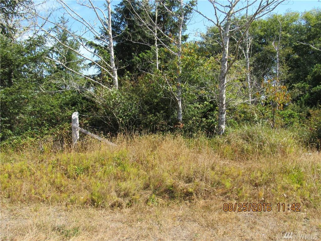 628 Duck Lake Dr - Photo 1