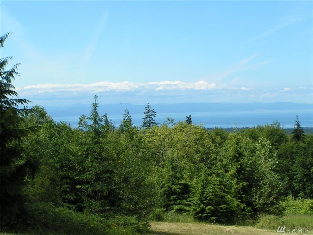 41 Ocean View - Photo 1