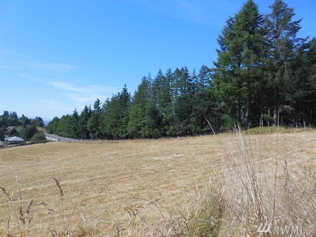 2627-next to Mt Pleasant Rd - Photo 1