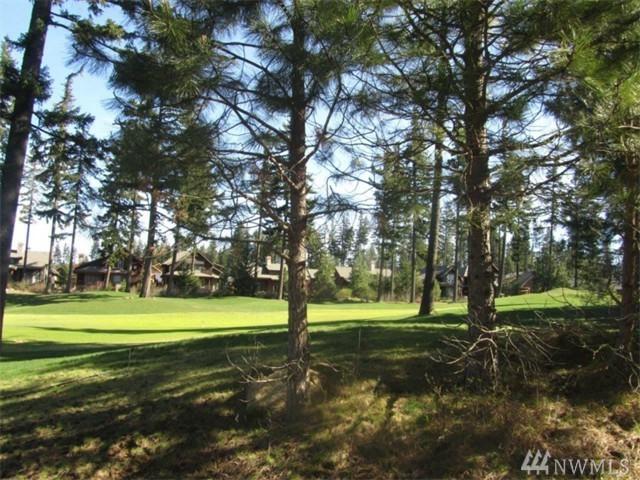 703 Equinox Dr - Photo 1