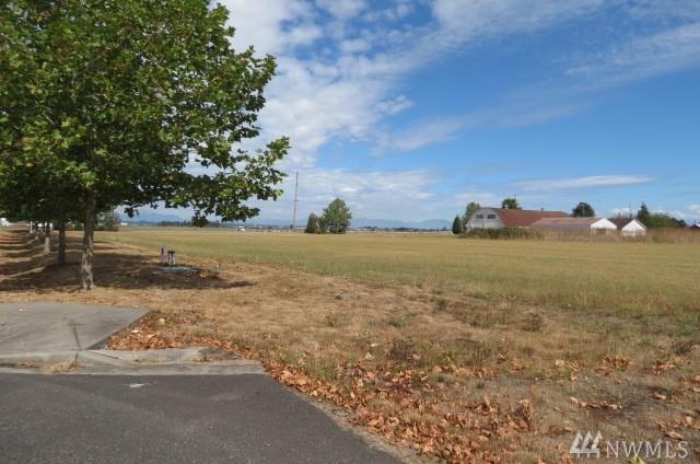 1-XX Berthusen Rd - Photo 1