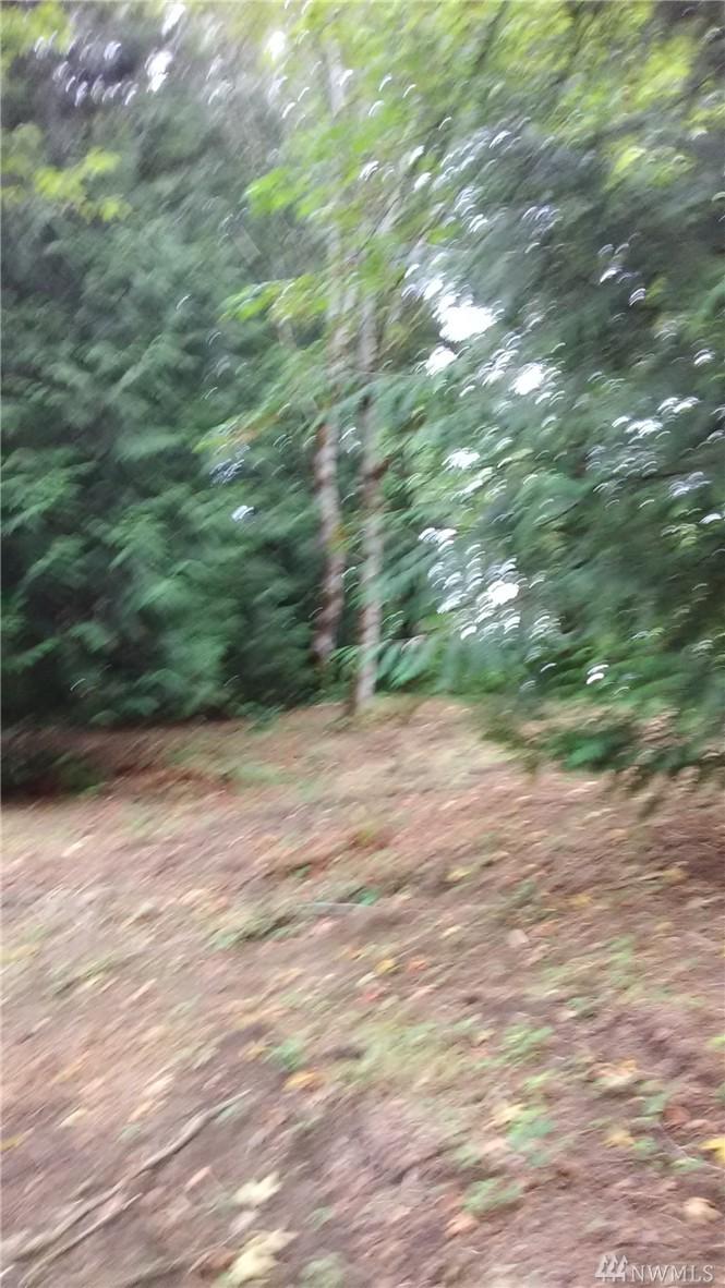 457 Quick Rd - Photo 1