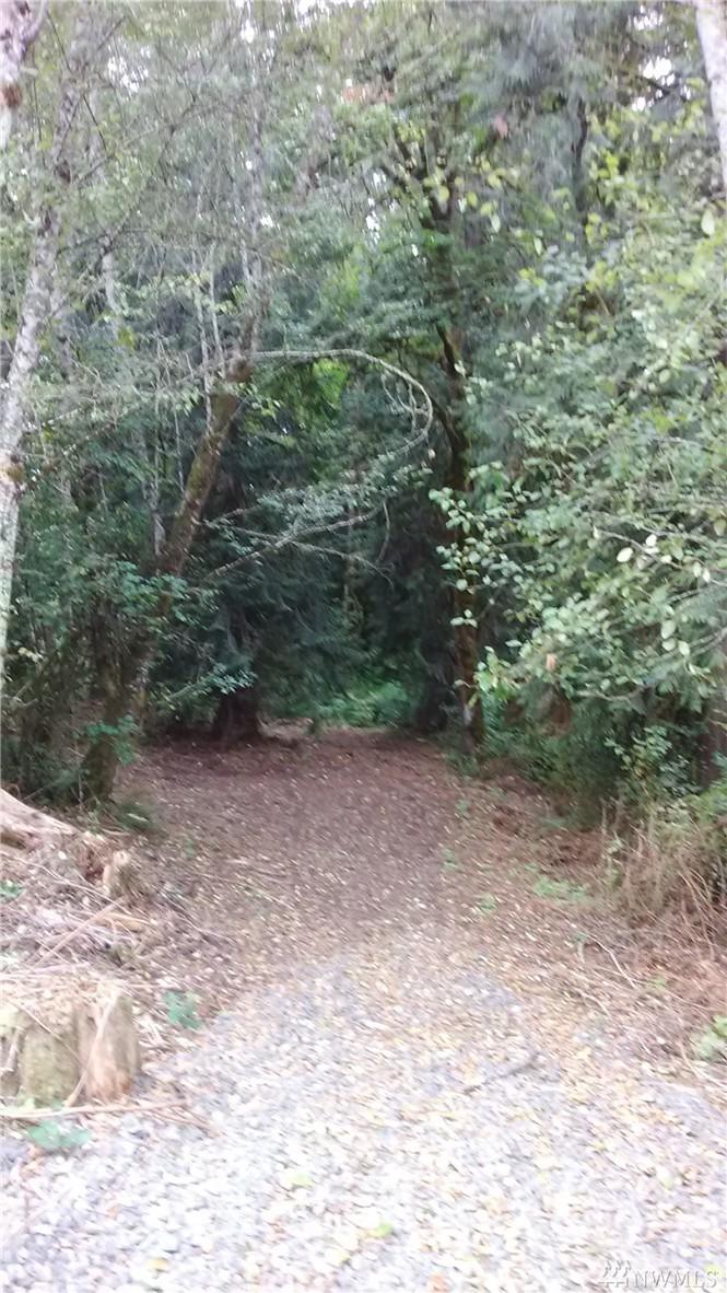 459 Quick Rd - Photo 1
