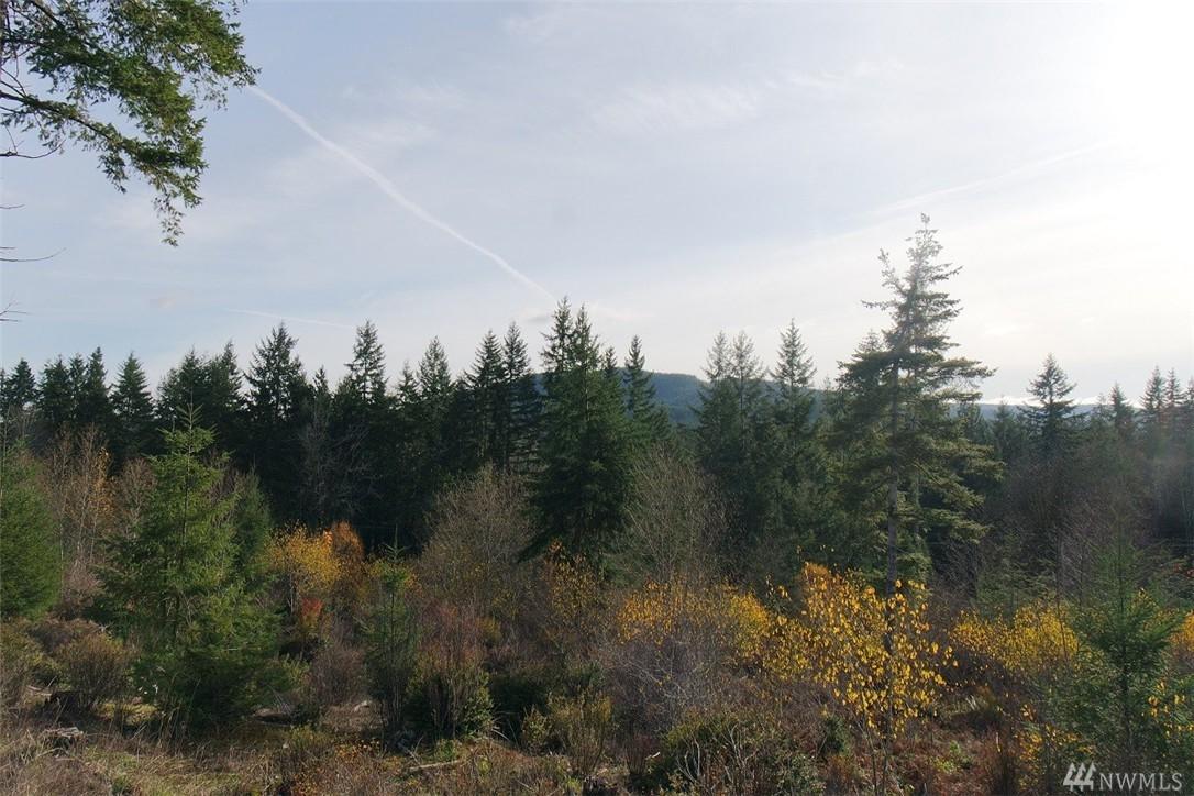 3531 Shelton Valley Rd - Photo 1