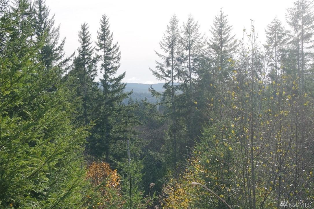 4390 Cloquallum Rd - Photo 1