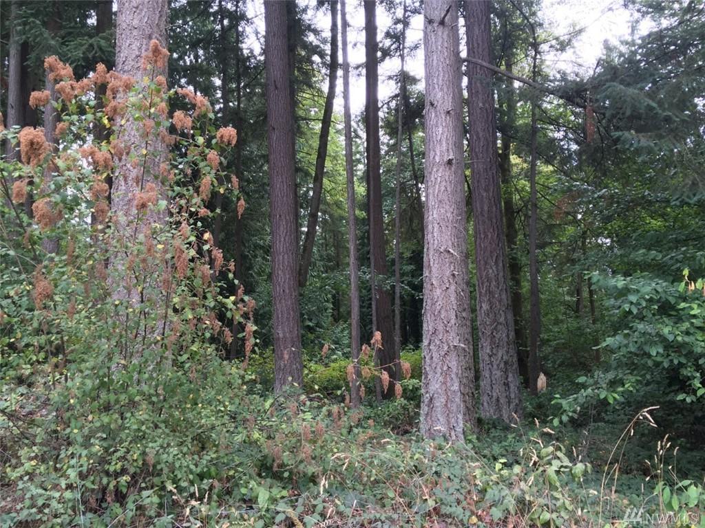 364-xx 32nd Ave - Photo 1