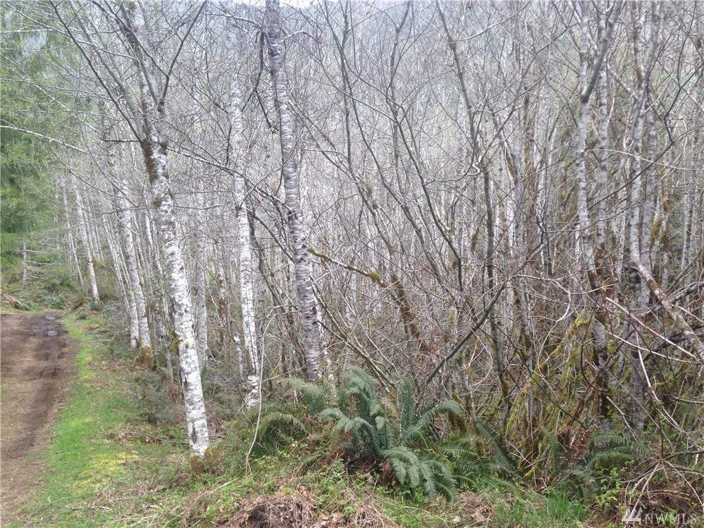 13-X Valley View Lane - Photo 1