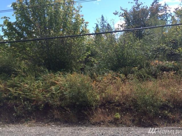 0-Lot 7B Lynch Rd - Photo 1