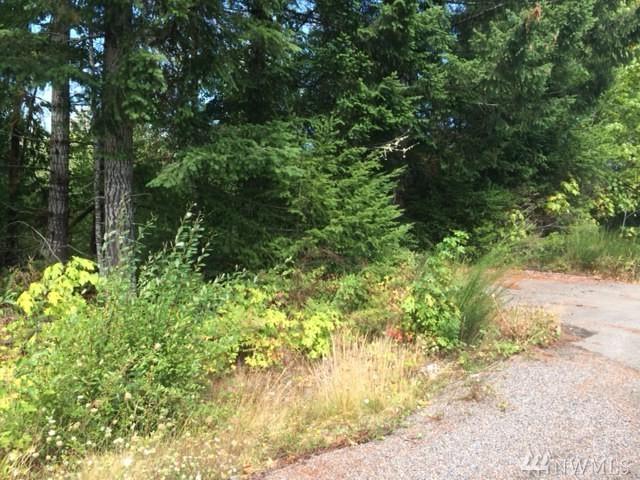 0-Lot 1 Lynch Rd - Photo 1