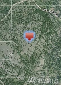1 Fs 3010 Rd/Peoney Creek Rd. - Photo 1