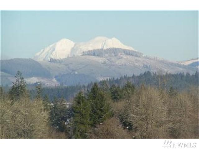 339 Glacier Peak Lane - Photo 1