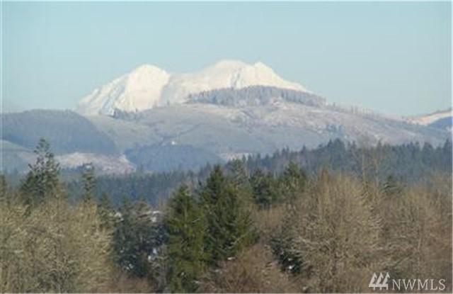 0-0 North Fork Rd(Glacier Peak Ln) - Photo 1
