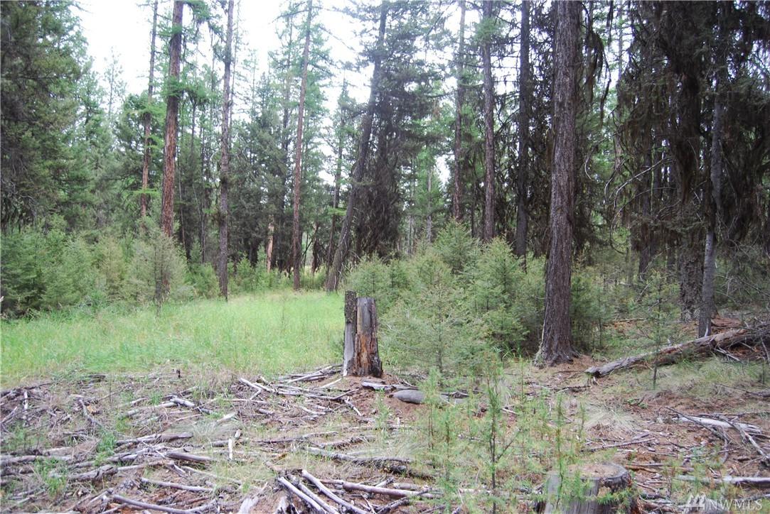 49 Stage Coach Loop Rd - Photo 1