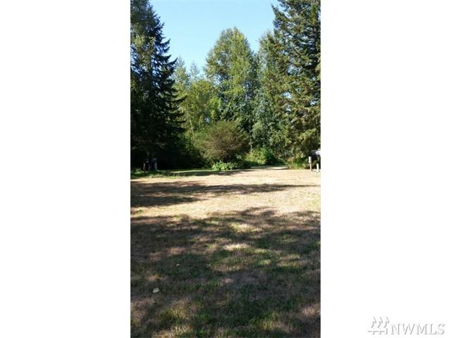 0 350th St - Photo 1