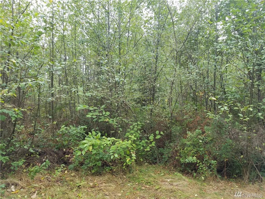 1021 Stavis Dr - Photo 1